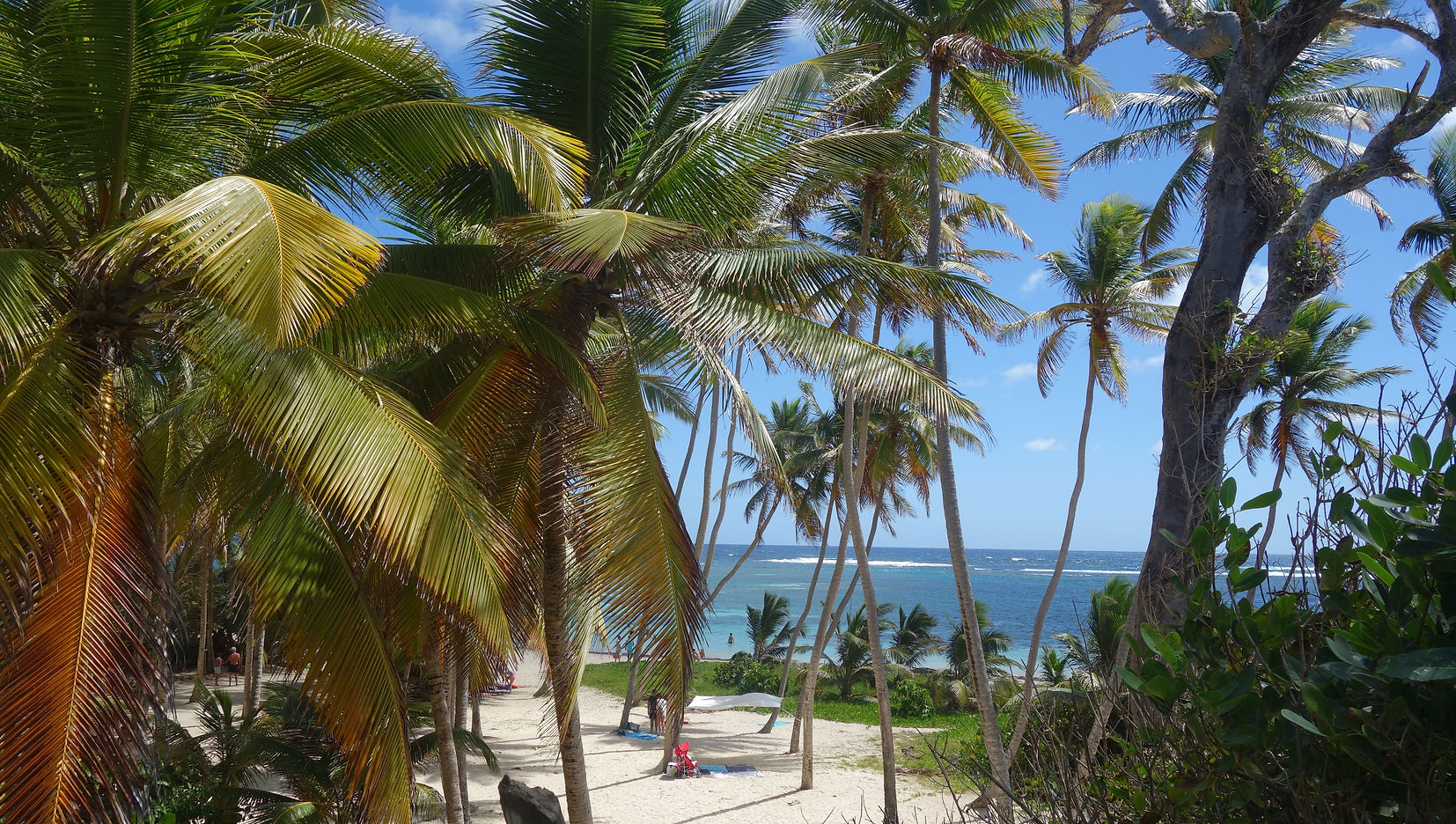 Plage de l'Anse Michel