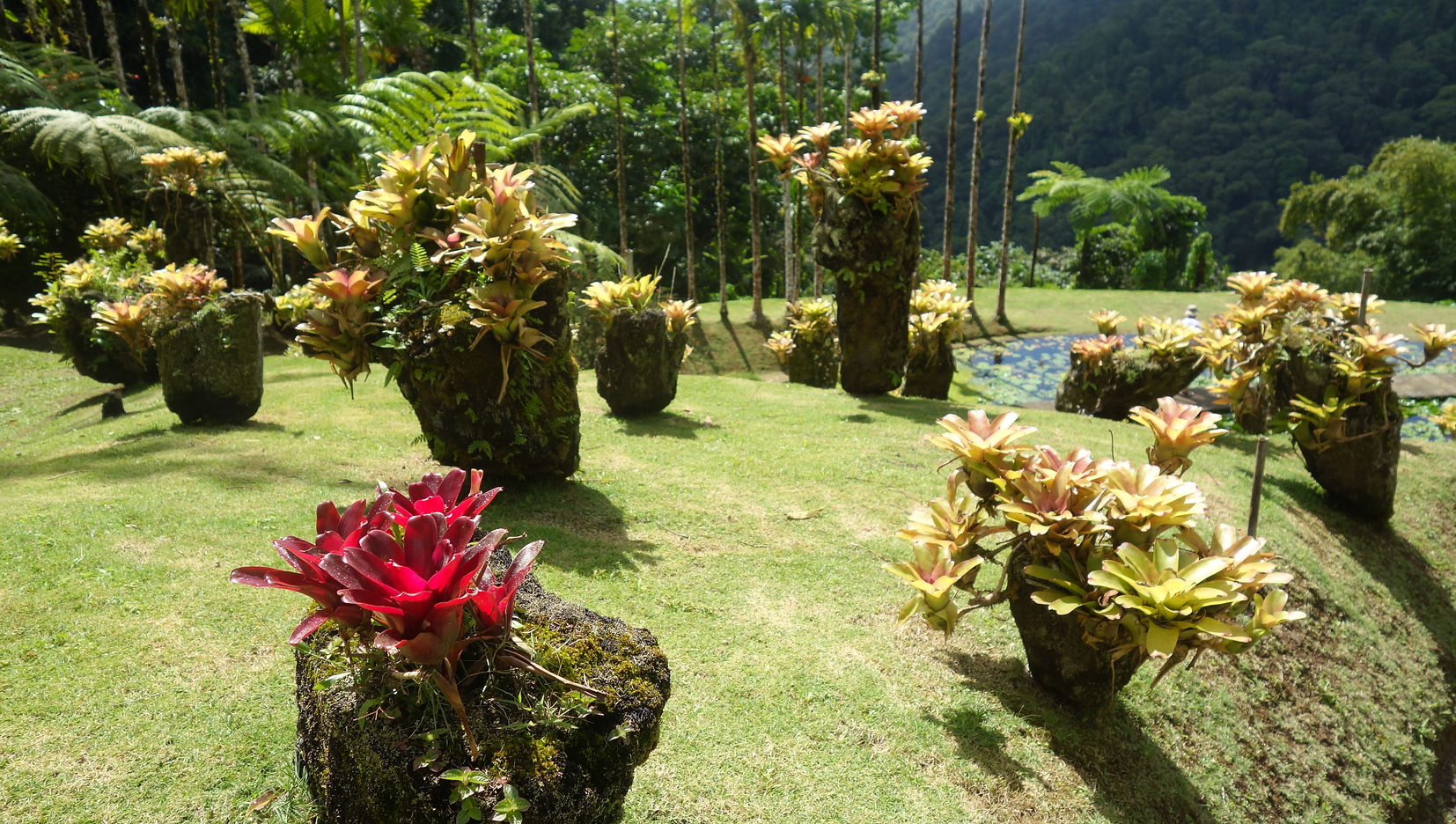 Jardin de Balata