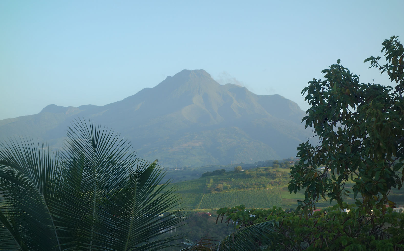 Montagne Pelée