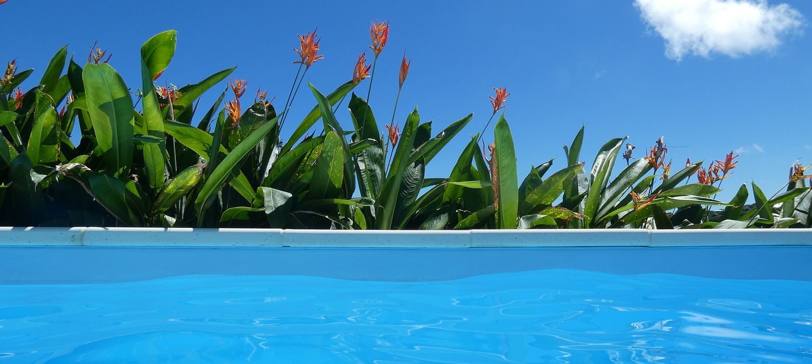 Pool view